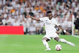 甚至组织专 甚至组织专